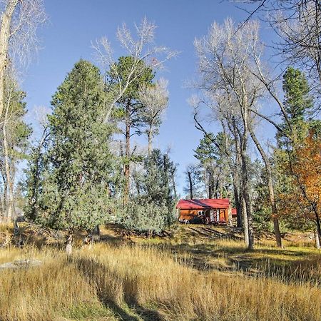 Cozy Colorado Cabin With Deck, Grill And River Access! Буэна-Виста Экстерьер фото
