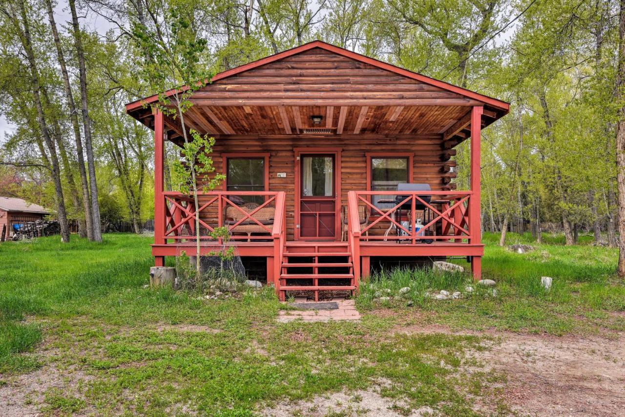Cozy Colorado Cabin With Deck, Grill And River Access! Буэна-Виста Экстерьер фото