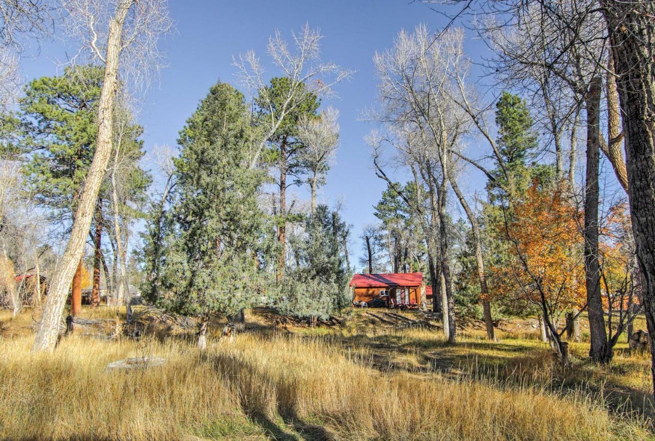 Cozy Colorado Cabin With Deck, Grill And River Access! Буэна-Виста Экстерьер фото